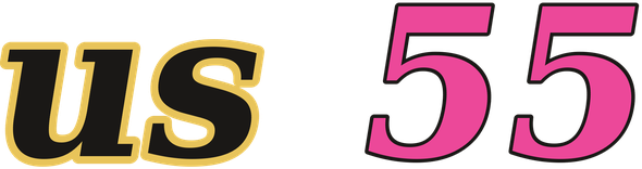 us 55 logo